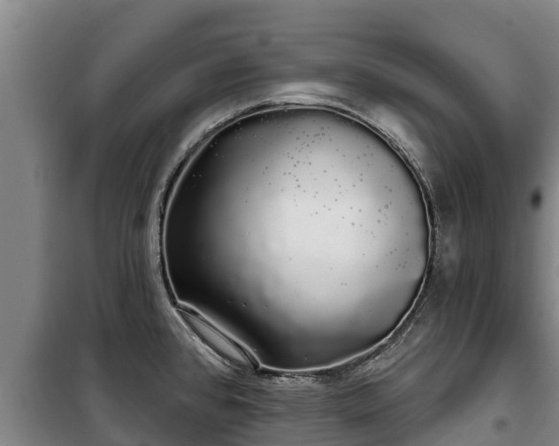 X0000100201384200806061312