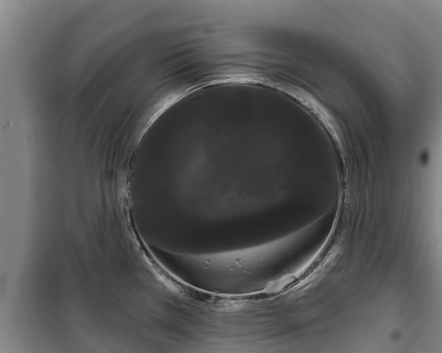 X0000100201385200806061312