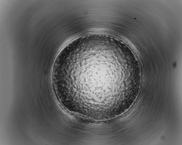 X0000100201386200806061312