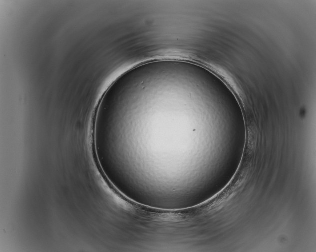 X0000100201387200806061312