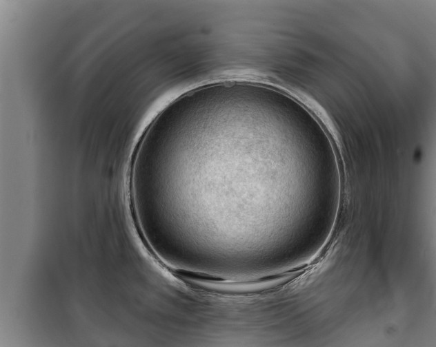 X0000100201389200806061312