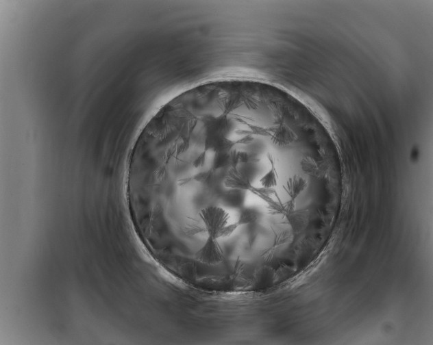 X0000100201390200806061312