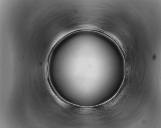 X0000100201391200806061312