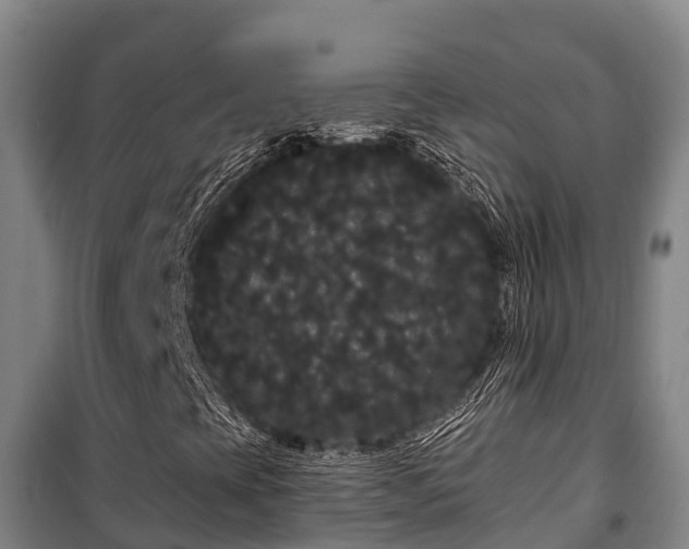 X0000100201393200806061311