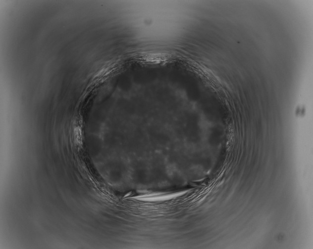 X0000100201394200806061311