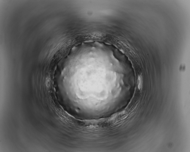 X0000100201395200806061311