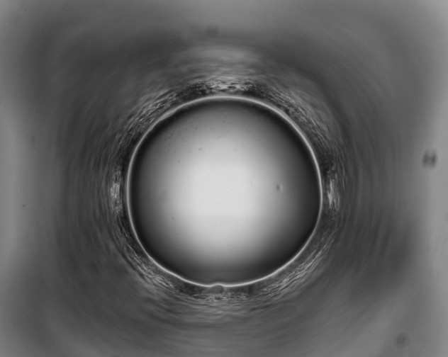 X0000100201396200806061311