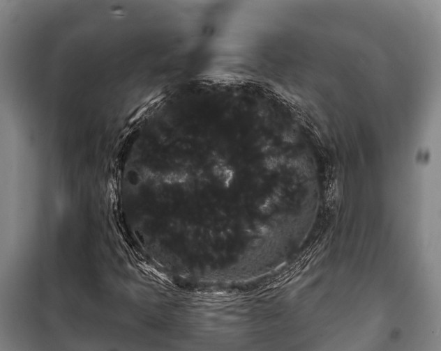 X0000100201397200806061311