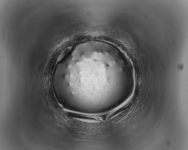 X0000100201398200806061311