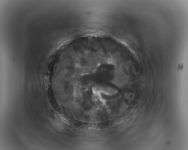 X0000100201399200806061311