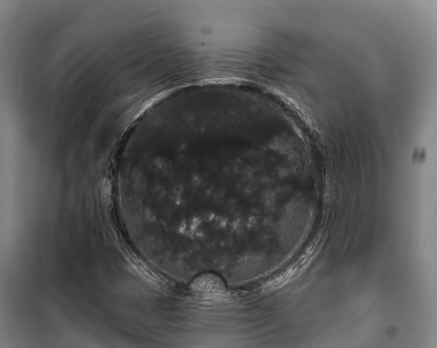 X0000100201401200806061311