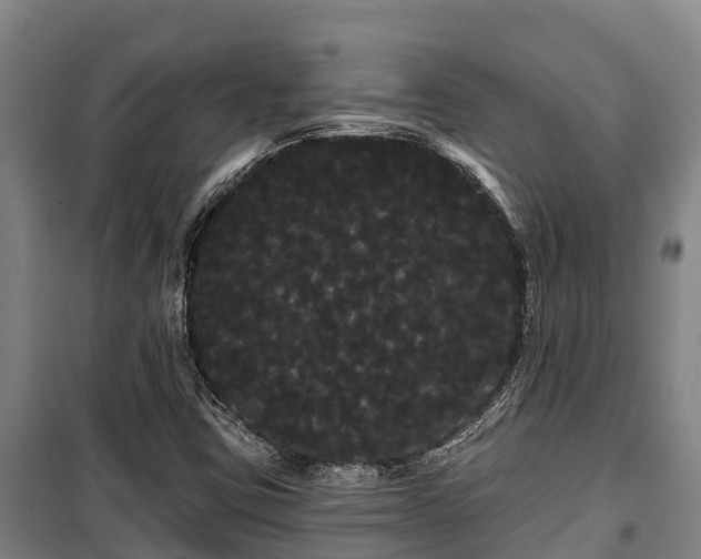 X0000100201403200806061311