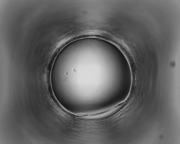 X0000100201404200806061311