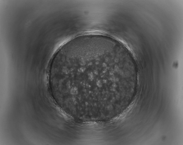 X0000100201405200806061311