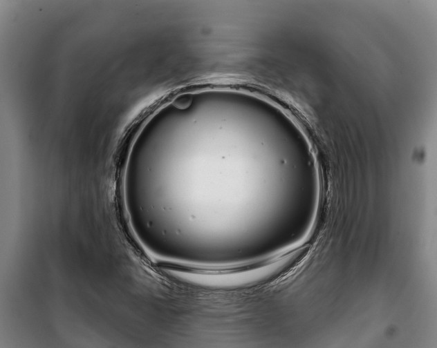 X0000100201406200806061311