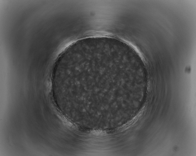 X0000100201407200806061311