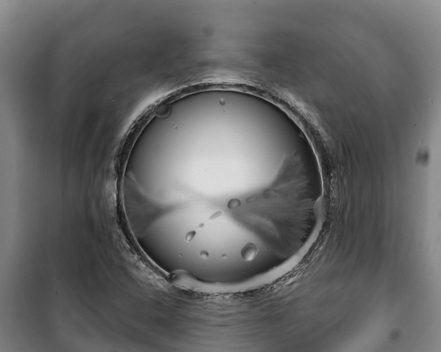 X0000100201408200806061311