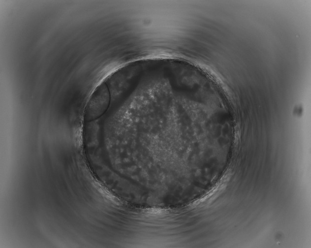 X0000100201409200806061311