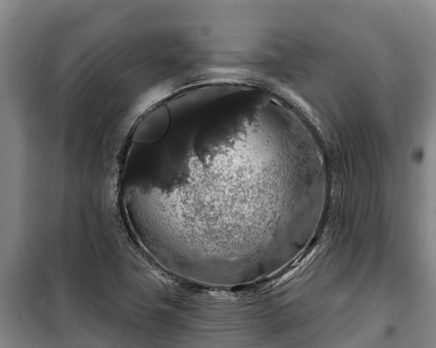 X0000100201411200806061311