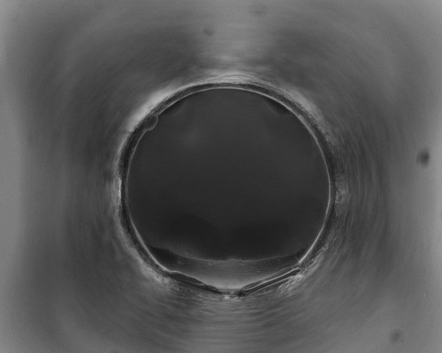 X0000100201414200806061311