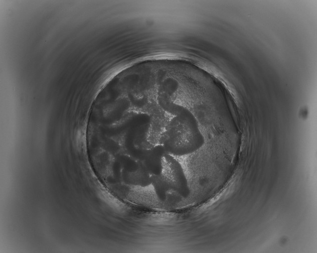 X0000100201417200806061311