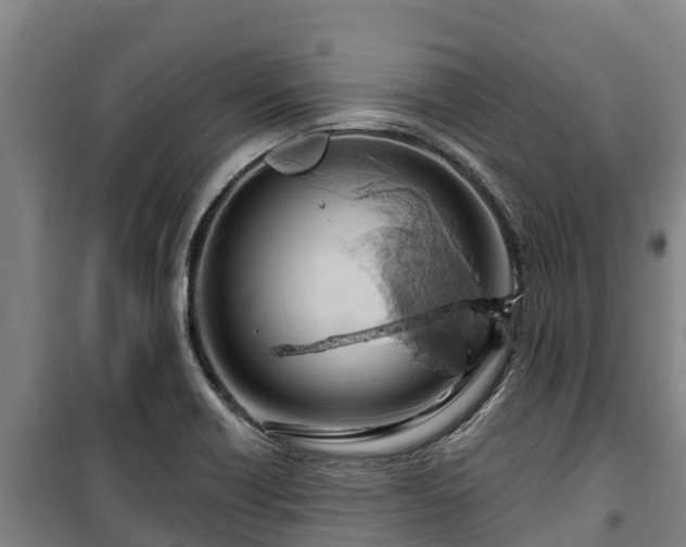 X0000100201418200806061311