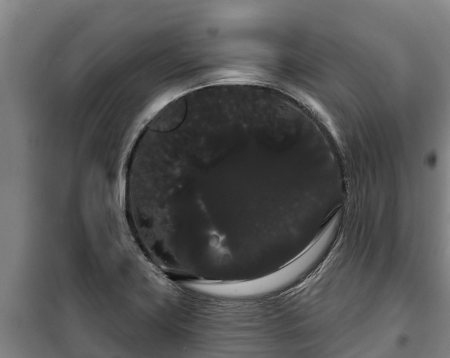 X0000100201419200806061311