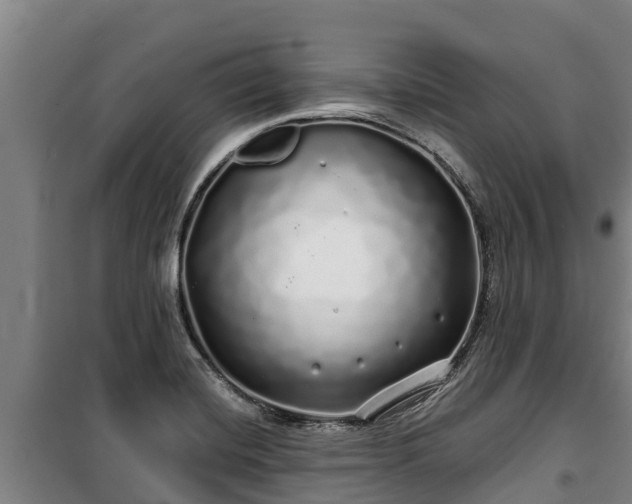 X0000100201420200806061311