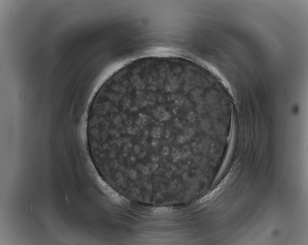 X0000100201421200806061311