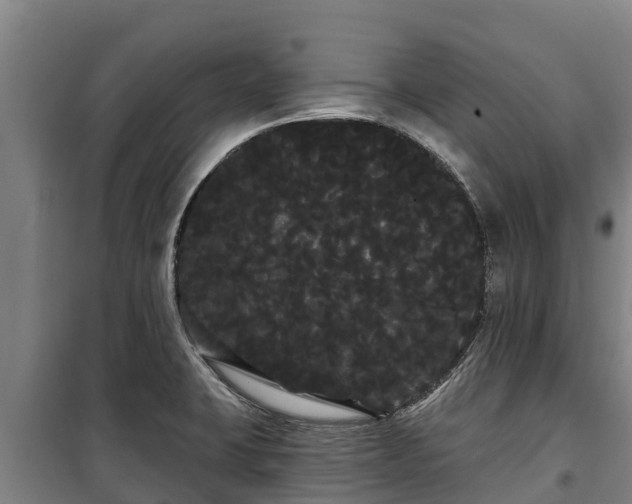 X0000100201423200806061311