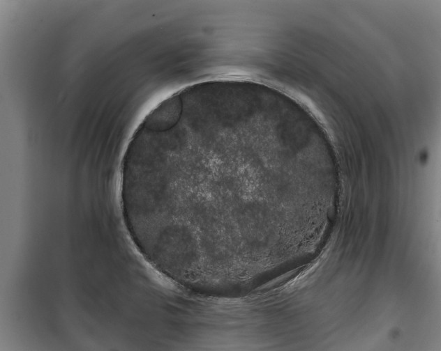 X0000100201424200806061311