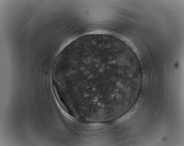 X0000100201425200806061311