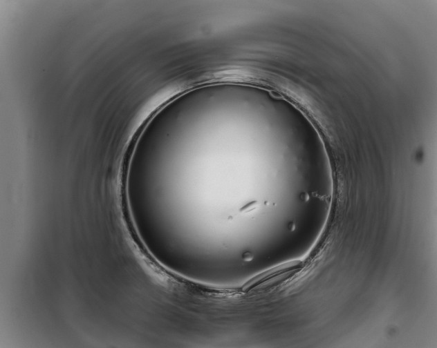 X0000100201426200806061311