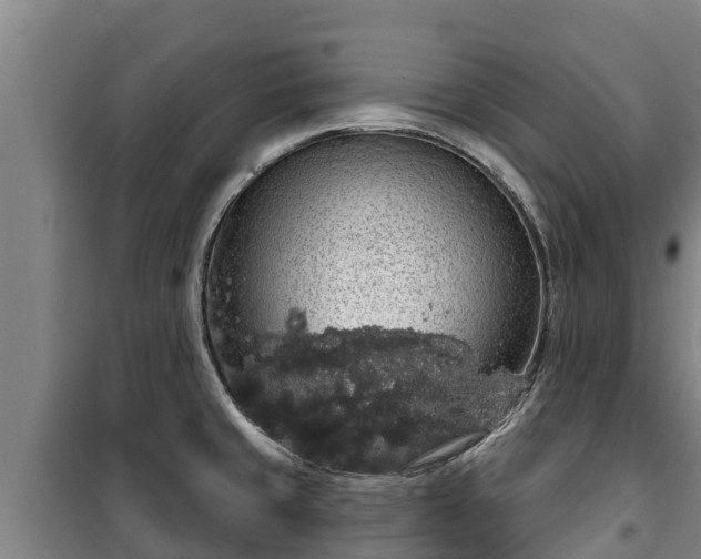 X0000100201429200806061312