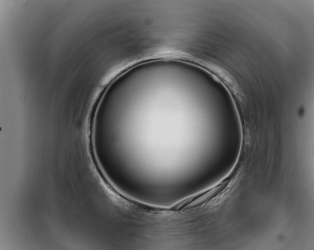 X0000100201430200806061312