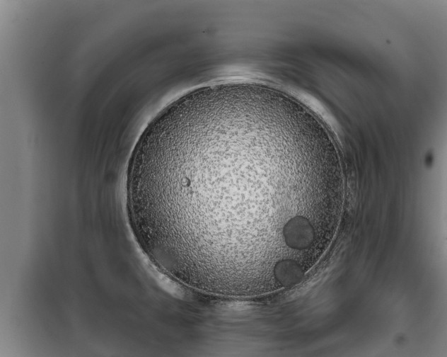 X0000100201431200806061312