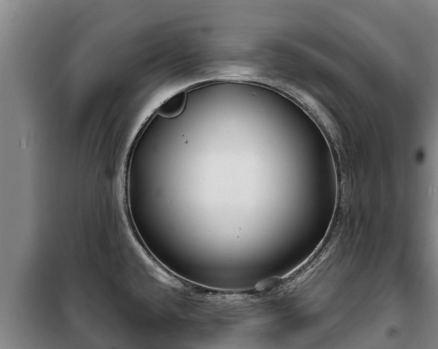 X0000100201432200806061312