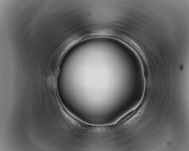 X0000100201433200806061312