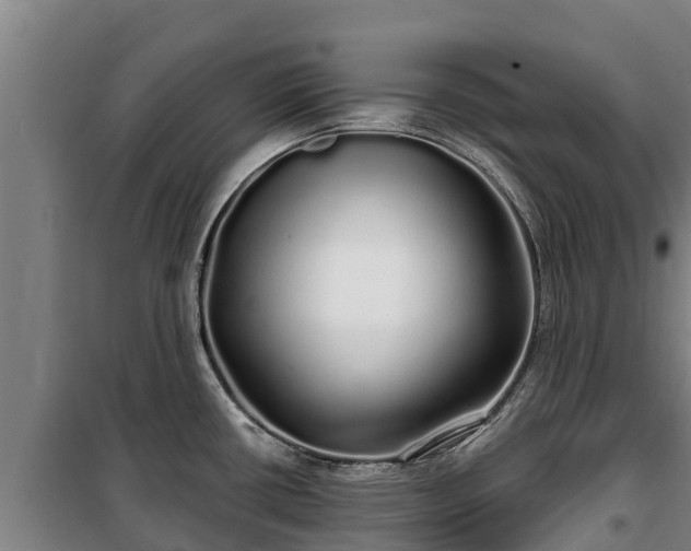 X0000100201434200806061312