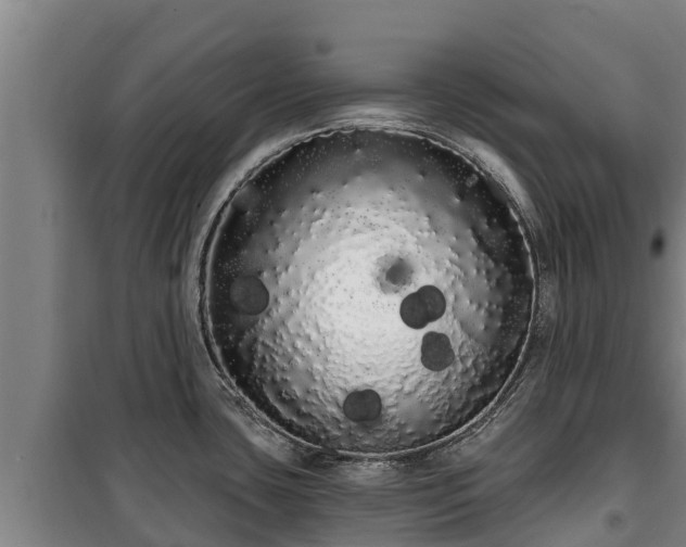 X0000100201435200806061312