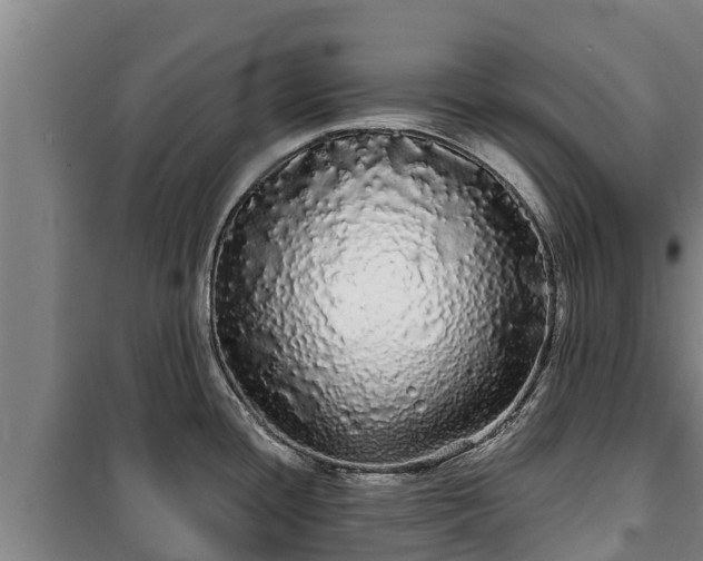 X0000100201436200806061312