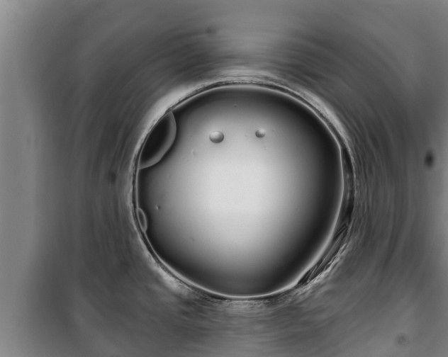 X0000100201437200806061312