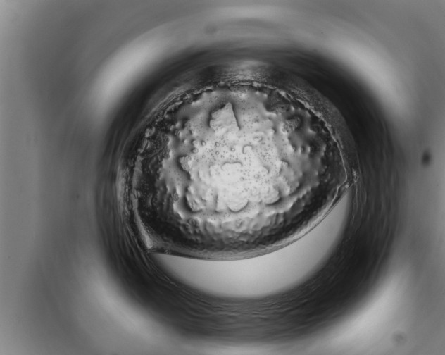 X0000100201438200806061312