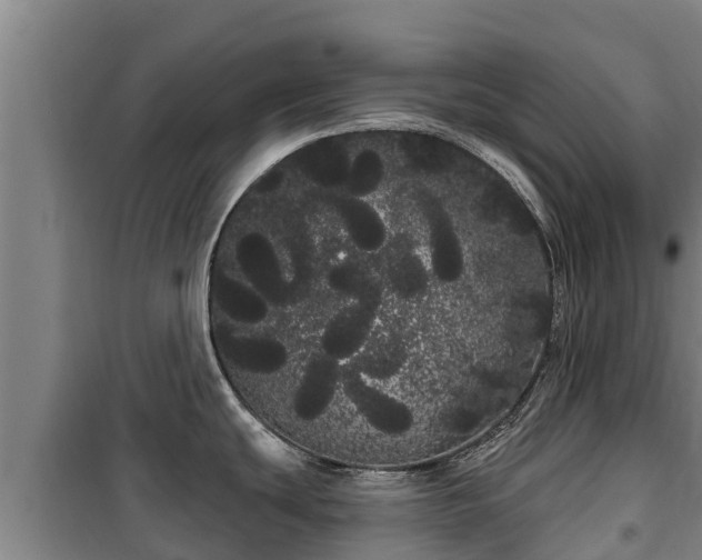 X0000100201439200806061312