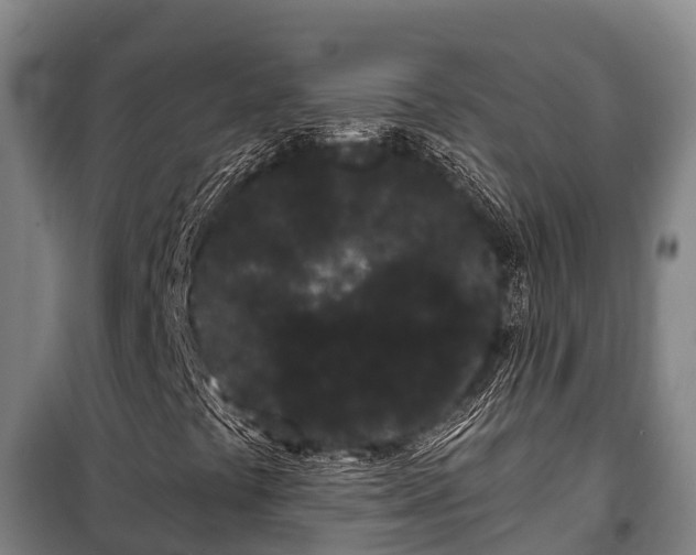 X0000100201441200806061311