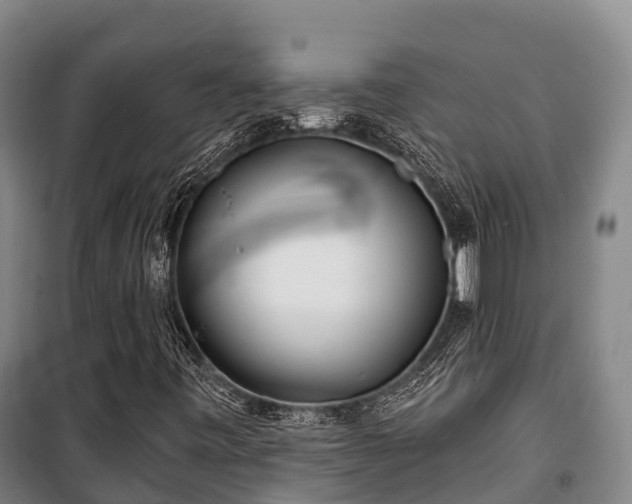 X0000100201443200806061311