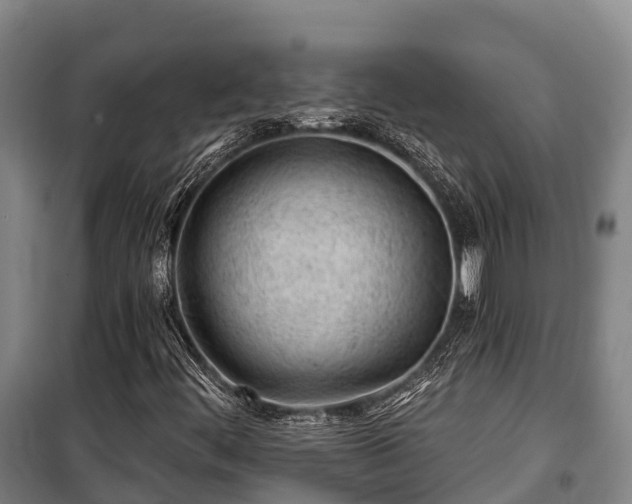 X0000100201444200806061311