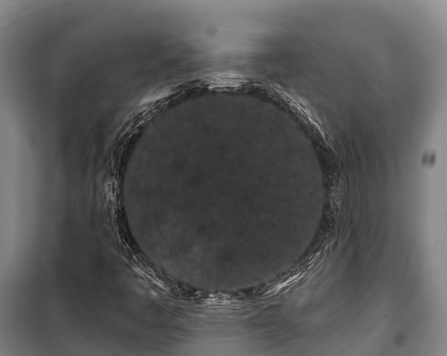 X0000100201445200806061311