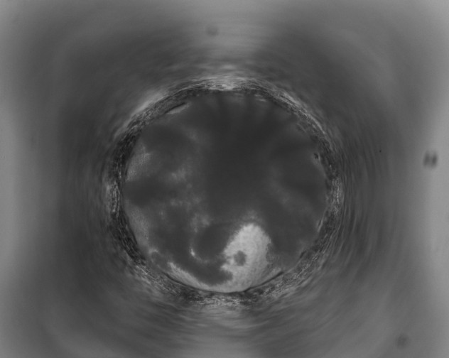 X0000100201446200806061311