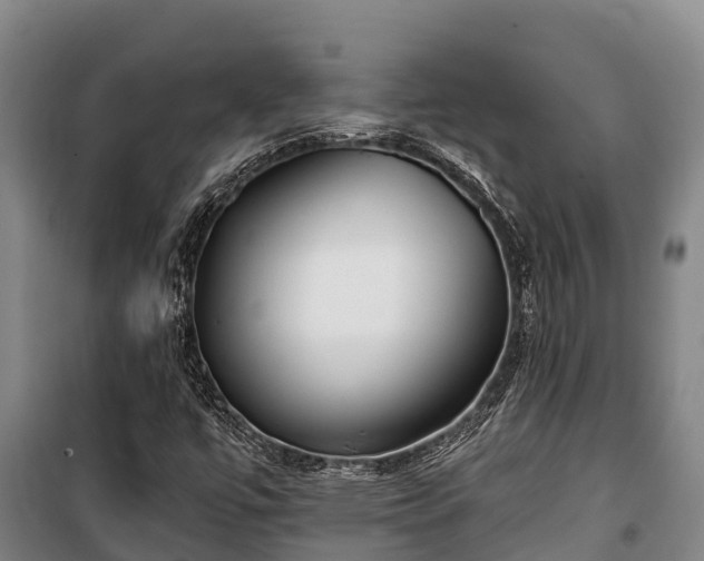 X0000100201447200806061311